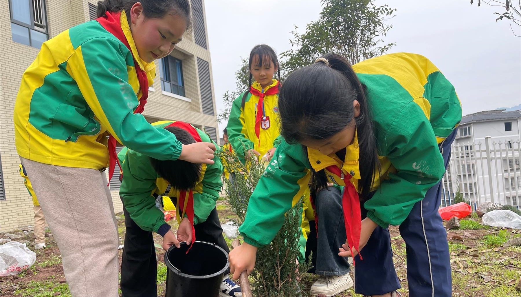  高陽小學開展植樹節實踐活動